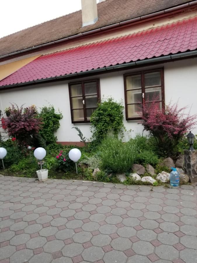 Гостевой дом Pensiunea Liana Nemşa-24