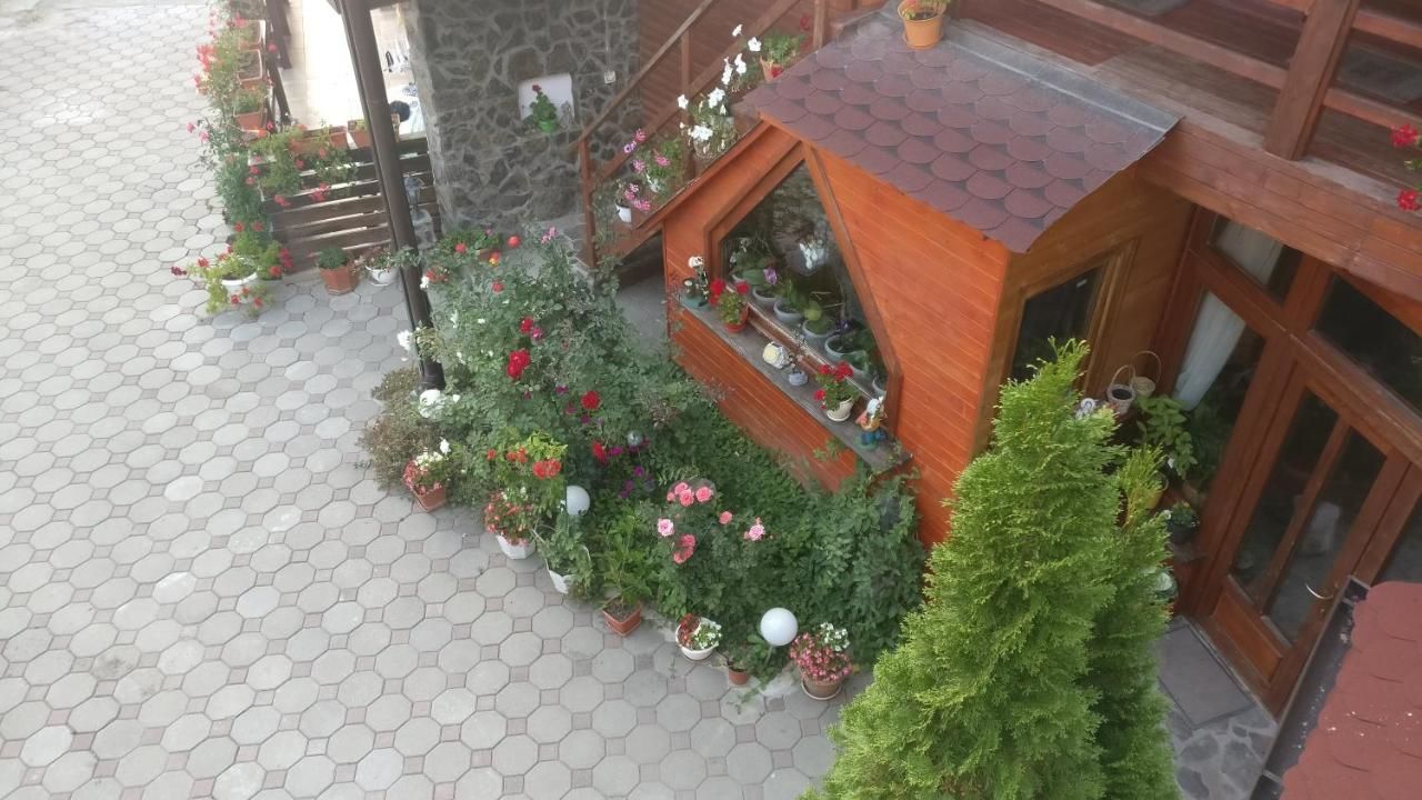 Гостевой дом Pensiunea Liana Nemşa-46