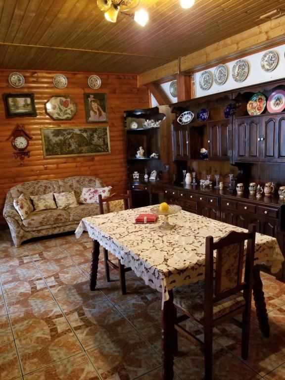Гостевой дом Pensiunea Liana Nemşa-55
